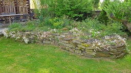 Steingartenbeet mit Natursteinmauer in einem Garten.