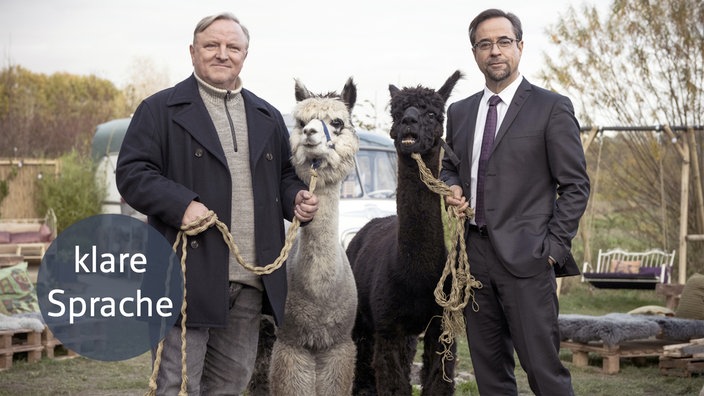 Kommissar Frank Thiel und Prof. Karl-Friedrich Boerne mit zwei Alpakas. Mit "klare Sprache" Logo