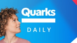 Quarks Daily Spezial Schriftzug