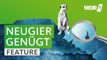 WDR 5 Neugier genügt