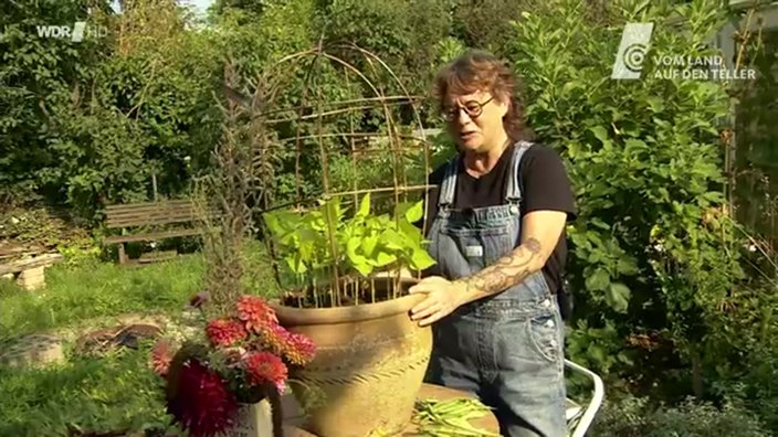 Gartenexpertin Anja Klein im Hier und heute Studio