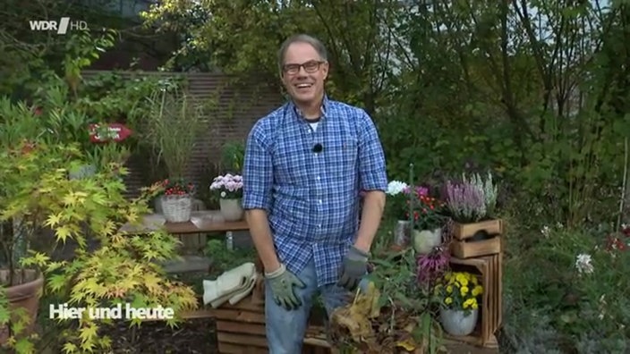 Gartenexperte Markus Phlippen