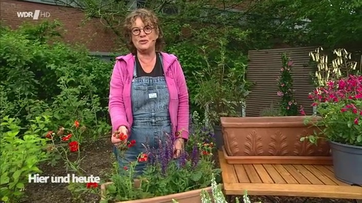 Gartenbloggerin Anja Klein