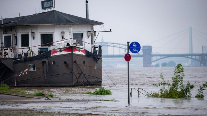 Blick auf den Hochwasser führenden Rhein. Teile des Uferbereiches sind überflutet.