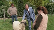 Joachim Stamp streichelt ein Schaf