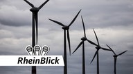 Klimaschutz Rheinblick