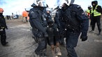 Polizeisten tragen einen Demonstranten weg.