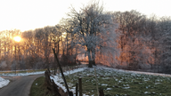 Nebel mit Sonnenschein, Schnee im Wald