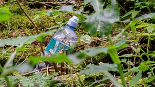 Leere Plastikflasche steckt im Moos fest 