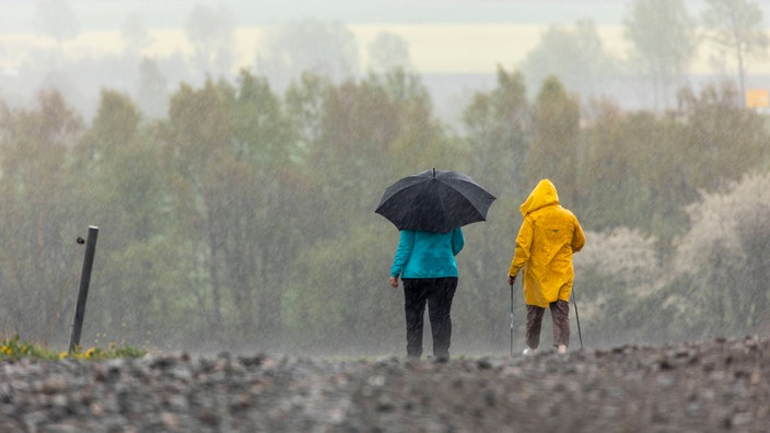 Regenwetter