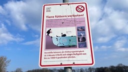 Füttern verboten: Schild am Ufer eines Teichs in den Bonner Rheinauen