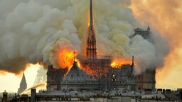 Fertig restaurierte Fenster für Notre Dame