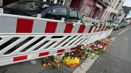 Zu sehen sind Blumen vor einem Auto