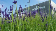 Foto des Hettich Forum mit einer Wiese mit Lavendel im Vordergrunf