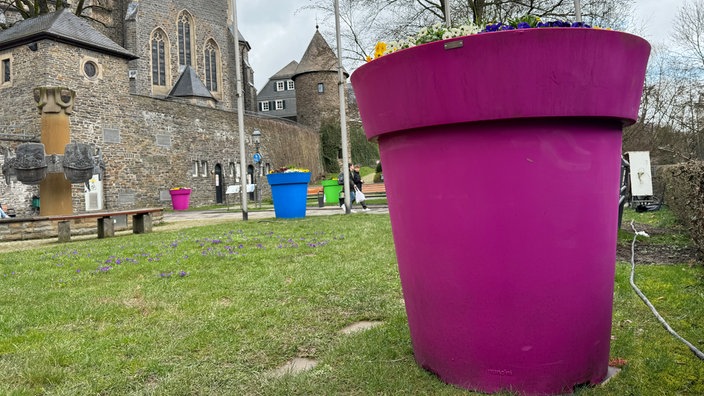 Ein pinker Blumenkübel vor einem historischen Gebäude.