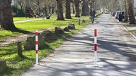 Rot-weiße Poller auf einem Radweg. 