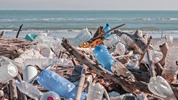 Plastikflaschen und anderer Müll liegen an einem Strand.