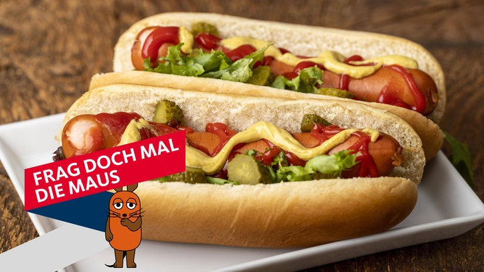 Ein Hotdog mit Wurst, Brötchen, Gurke, Ketchup und Senf