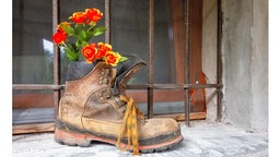 Ein alter Wanderstiefel auf einer Fensterbank als Pflanzgefäß mit Blumen.