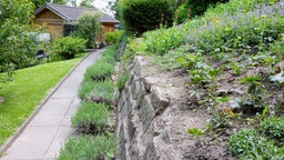 Lavendel am Fuß einer Trockenmauer