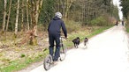 Ein Mann auf einem Dogscooter