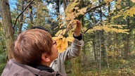 Exkursionsteilnehmer im Arboretum Burgholz Wuppertal