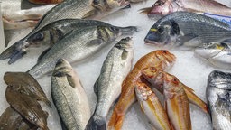 Verschiedene Arten von frischem Fisch auf einem Marktstand. Symbolbild