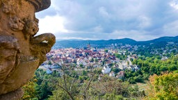 Bad Wildungen im Panorama von einer Höhe aus.