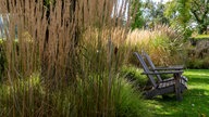 Gräser in einem Garten umrahmen eine Sitzbank.