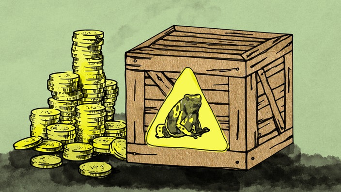 Grafik zum WDR5 Tiefenblick "Die Froschmafia - Das Milliardengeschäft mit bedrohten Tieren"