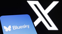 Die Logos der Bluesky- und X-App sind in dieser Abbildung zu sehen, 19.11.2024.