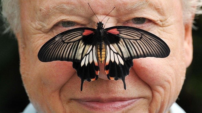 David Attenborough