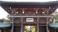 Meji Jingu-Schrein, Yoyogi-Park, Tokio