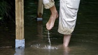 Zwei Beine im Wasser, eines davon wird gerade aus dem Wasser gehoben