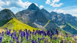 Das Bild zeigt: Die Alpen. 