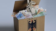 Geldscheine und ein Sack mit Münzen in einem Karton mit Bundesadler