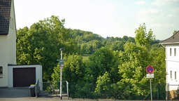 Bäume stehen in der Lücke zwischen zwei Häusern