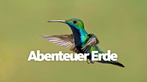 Logo Abenteuer Erde