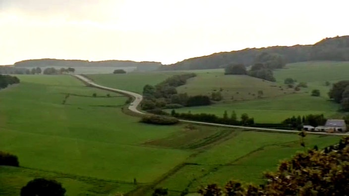 Eifel-Landschaft aus der Vogelperspektive, durch die sich eine Straße schlängelt