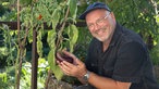 Axl Jansen mit einer selbst gezogenen Aubergine. 