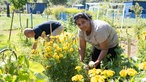 Sugirtha Navarathinam und eine weiterer Hobbygärtner arbeiten im Garten. 