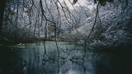 Ihre schönsten Frost-Fotos