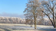 Ihre schönsten Frost-Fotos