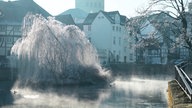 Ihre schönsten Frost-Fotos