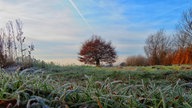 Ihre schönsten Frost-Fotos