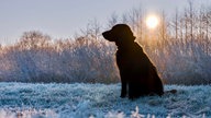 Ihre schönsten Frost-Fotos