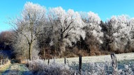 Ihre schönsten Frost-Fotos