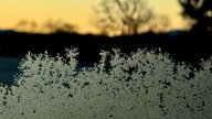 Ihre schönsten Frost-Fotos