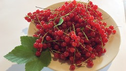 Rote Johannisbeeren