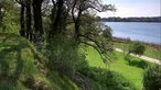 Landschaft beim Mauerradweg in Berlin.